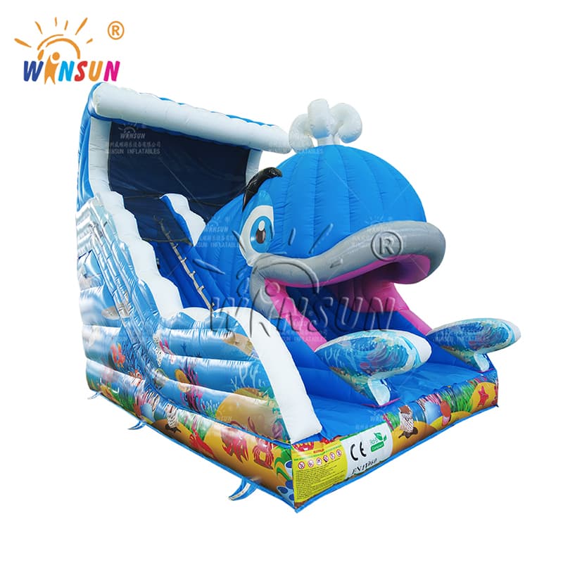 Fun Inflatable Whale Slide