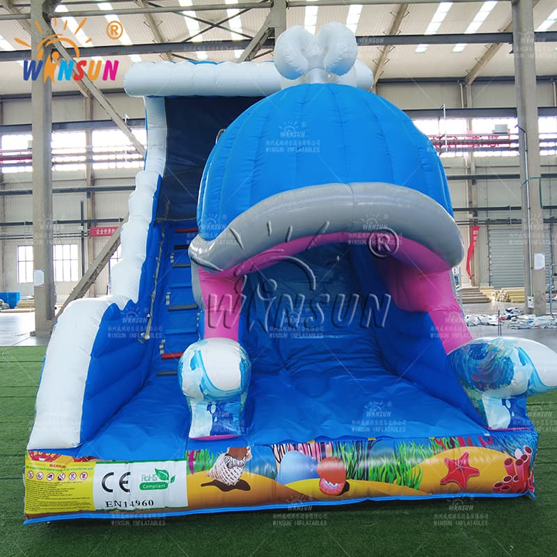 Fun Inflatable Whale Slide