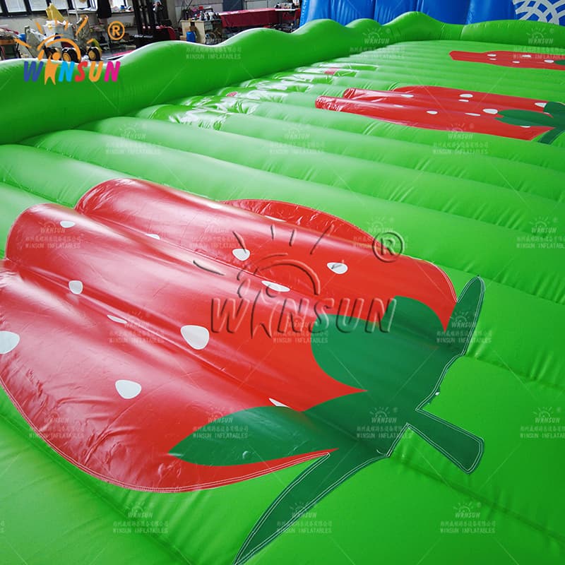 Giant Inflatable Strawberry Jump Pad