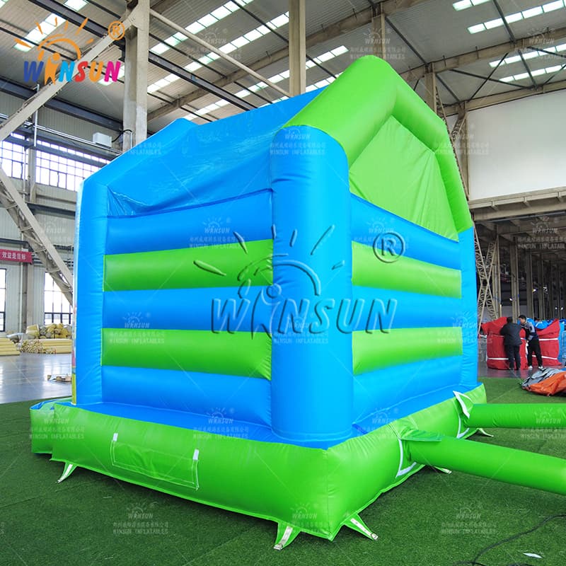 Bluey Themed Inflatable Bounce House