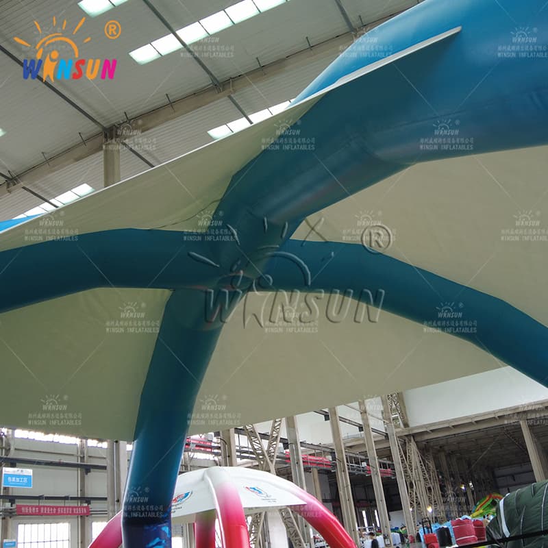 Outdoor Inflatable Boxing Ring with Canopy